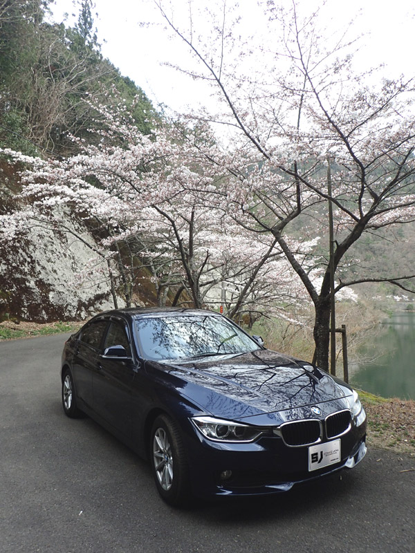 銚子ダム公園の桜とBMW320d