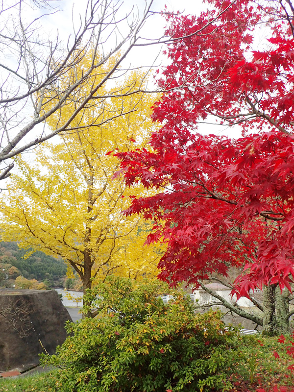 銚子ダム公園の紅葉